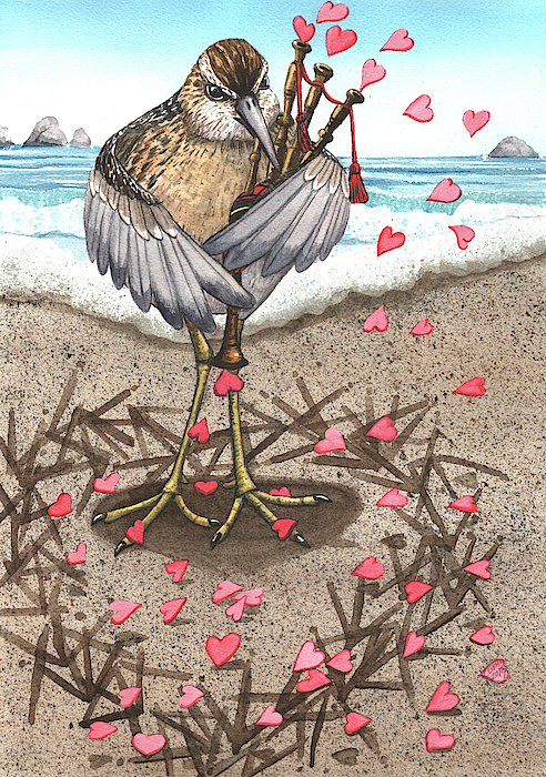 Sandpiper by Catherine G McElroy Sandpiper by Catherine G McElroy